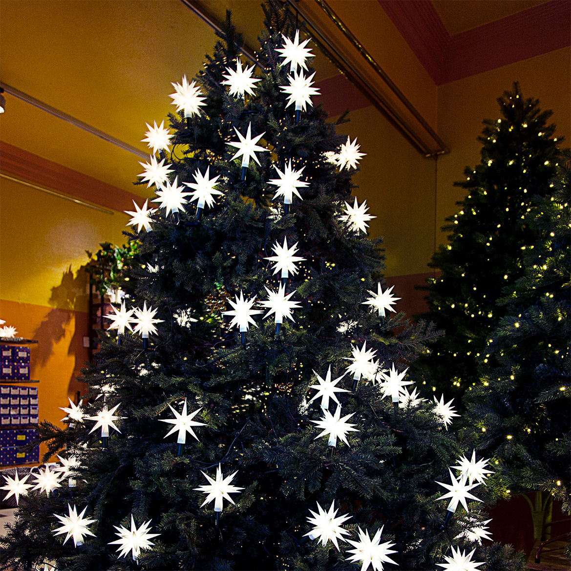 Weihnachten im Geschäft Tannenbaum