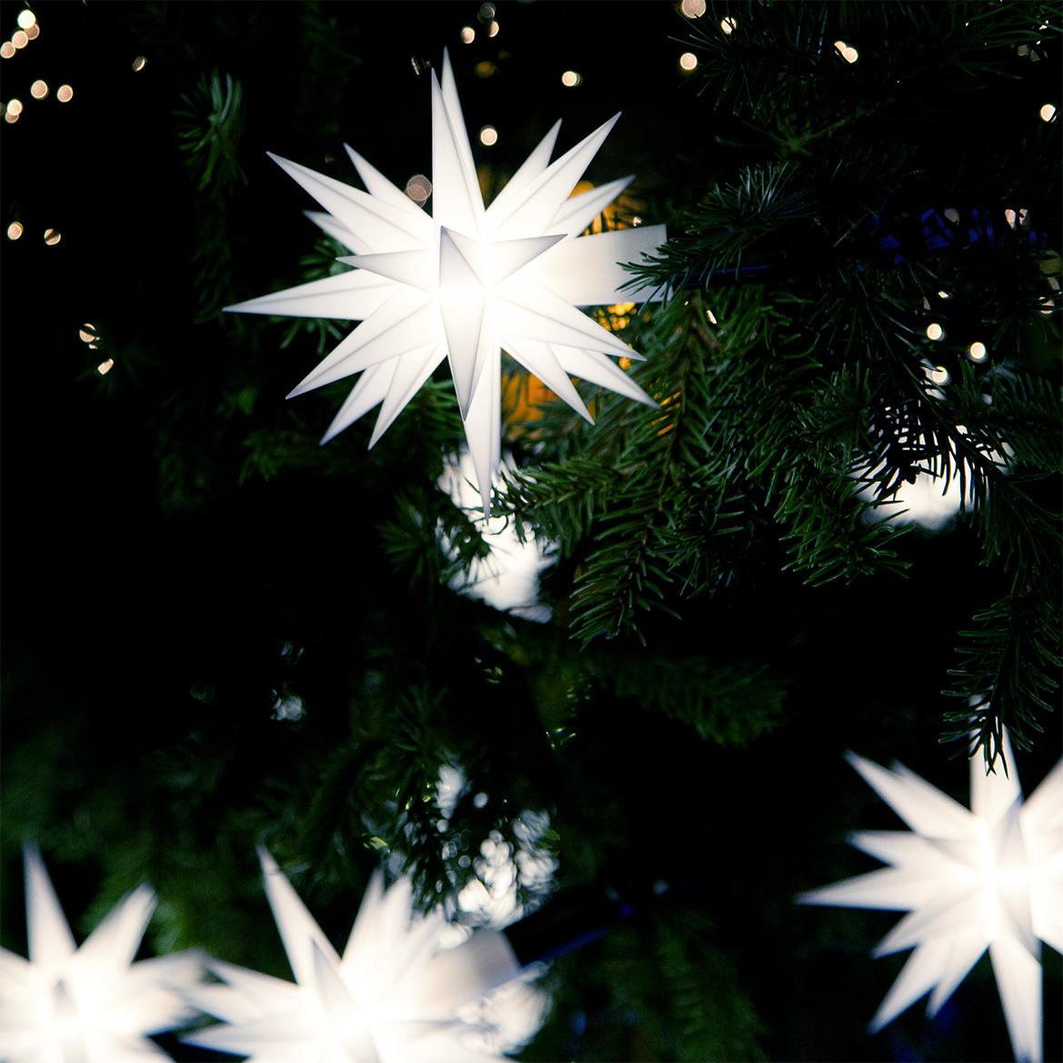Weihnachten im Geschäft Tannenbaum